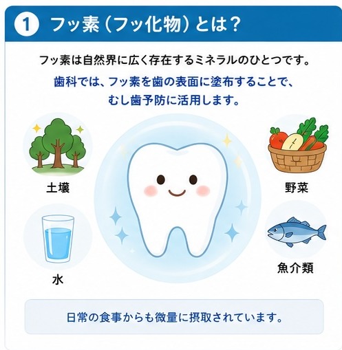 ①フッ素(フッ化物)とは?