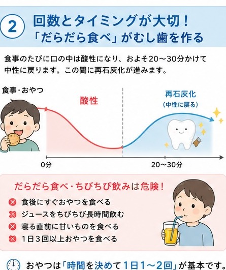 ②回数とタイミングが大切・だらだら食べがむし歯を作る