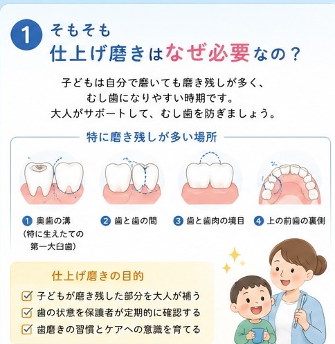 ①そもそも仕上げ磨きはなぜ必要なの？