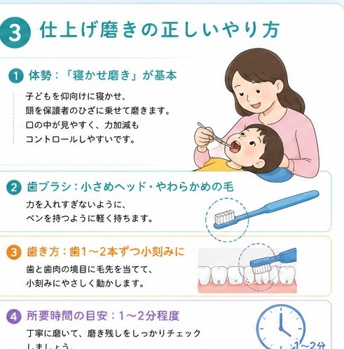 ③仕上げ磨きの正しいやり方